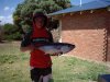 my tuna from esperance at christmas